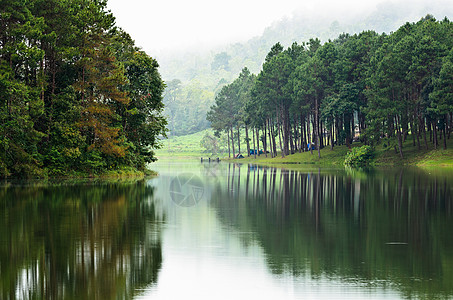 清晨在松树林湖边的大气阵营旅游草皮反射帐篷死水树木风景场景旅行营地图片