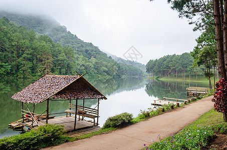 庞阳 清晨美丽的森林湖场景国家死水景点风景旅行公园反射松树竹子图片