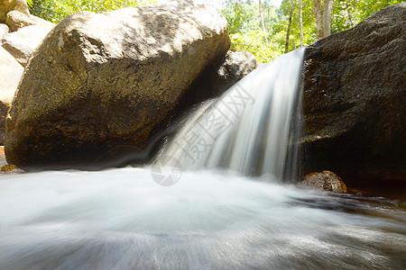 小瀑布从岩石上流过公园场景苔藓风景环境石头丛林植物叶子森林图片