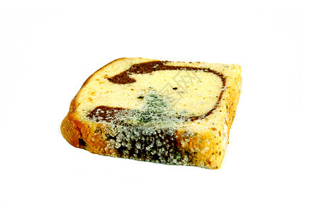 摩尔迪在白色背景上切面包模具生长孢子厌恶包子霉菌食物过敏生物腐烂图片