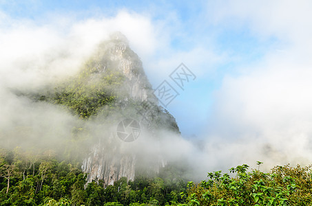 暴雾笼罩的高山岩石石头荒野场景天空阴霾爬坡热带树木森林图片