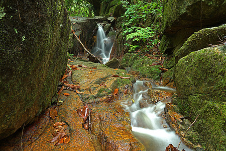 美丽的小瀑布流淌在前额的岩石上公园苔藓热带荒野丛林花园环境场景风景森林图片