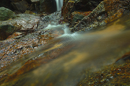 美丽的小瀑布流淌在前额的岩石上木头森林苔藓运动丛林公园流动叶子花园石头图片