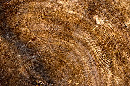 旧木质表面木工松树地面装饰材料边界阴影木头风化硬木图片