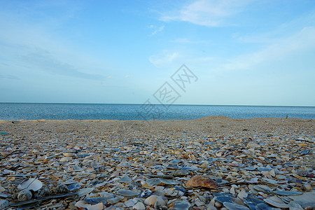 海滩和海壳情调假期风景海景石头海岸线海岸海洋蓝色爬坡图片