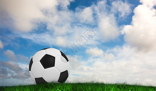黑人和白人足球综合图象黑色和白色足球草原绘图闲暇计算机活动蓝天运动公园沥青天空图片