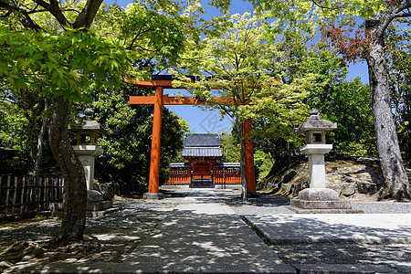 日本寺庙森林精神水池宗教金子城市传统旅行神社休息图片