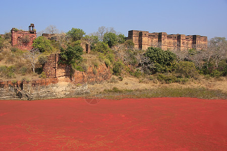 堡垒和红湖 印度旅行纪念碑砂岩国家地标景观城市池塘历史红色图片