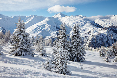 冬季风景滑雪树木假期蓝色娱乐阳光土地辉光山脉木头图片