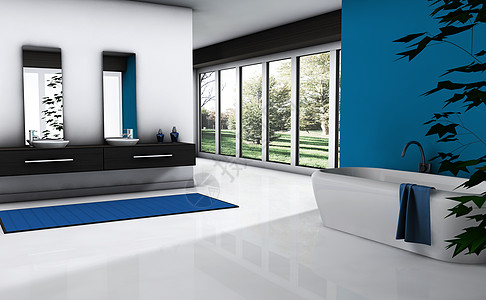 洗手间镜子放松财产蓝色洗澡房地产住宅渲染浴缸房子图片