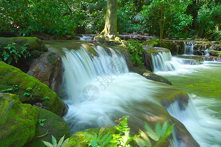 国家公园的小瀑布和岩石热带石头花园木头森林苔藓公园运动环境场景图片