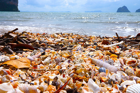 在泰国Trang的Rajamangala海滩上海浪异国海岸天堂爬坡风景海景岩石贝壳情调图片