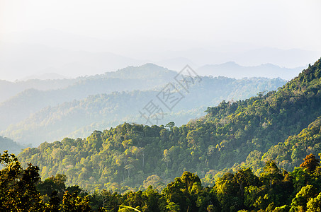 高角视图森林山和天空树木绿色风景热带场景爬坡图片