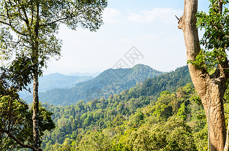 高角视图森林山和天空爬坡场景热带风景树木绿色图片