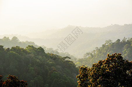 高角视图森林山和天空爬坡风景绿色热带场景树木图片