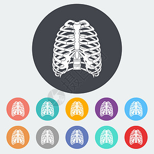 人类胸腔的图标保健胸部生物学解剖学疼痛医疗胸骨科学脊柱插图图片