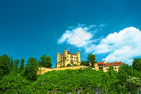 德国的霍亨施旺高城堡晴天建筑城堡建筑学旅行地标国王堡垒大厦森林图片