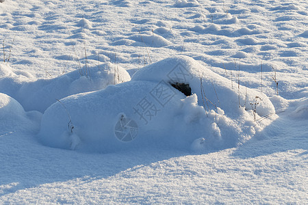 雪地草原上的石头岩石冰柱日落草地城市冻结场地地平线木头气候图片