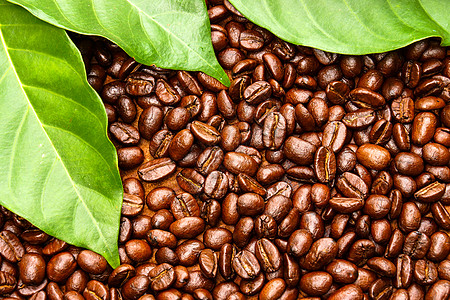 木制背景的咖啡豆酿造休闲早餐咖啡厂烘烤咖啡公司火锅咖啡馆时光茶几图片
