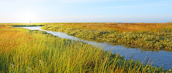 与溪流和阳光相伴的易德草原场地蓝色沼泽地平线生态晴天国家天空农村全景图片