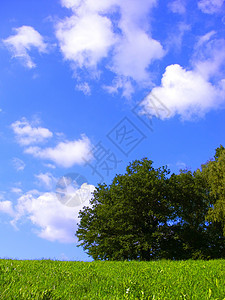 夏季夏月土地农村阳光场景生长太阳草原场地植物天空图片