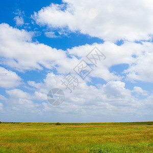 草坪生长草地场地晴天土地蓝色天气农业牧场植物图片