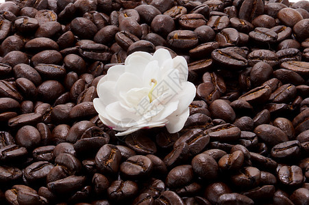 白花和咖啡豆烤熟了图片