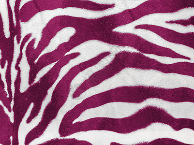 纹质动物模仿照片野生动物墙纸斑马风格皮肤装饰粉色图片