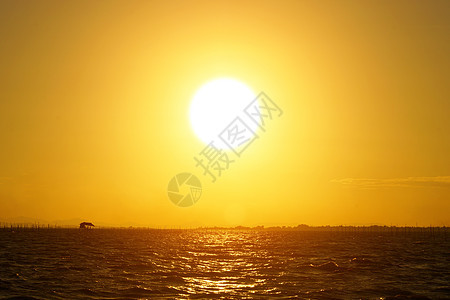 湖边日落的美景日光天空地平线太阳橙子反射波浪蓝色天气日出图片