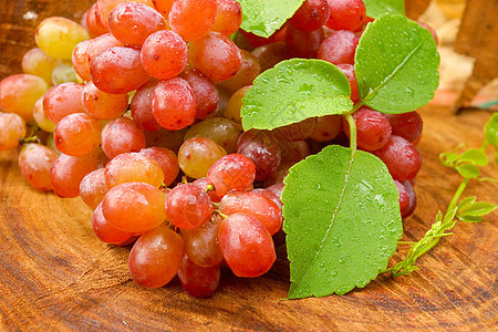 褐木上的新红葡萄酒厂水果浆果叶子营养藤蔓食物果汁膳食生长图片