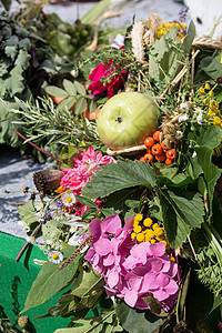 鲜花和草药的美丽花束花园作品装饰菊花草本植物大叶风格雏菊薄荷吸附图片