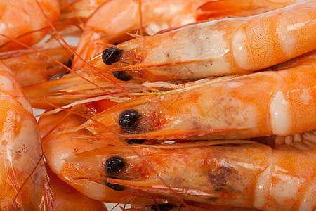 在白色背景上被孤立的新鲜虾营养烹饪水平饮食甲壳动物盘子紫色美食红色图片