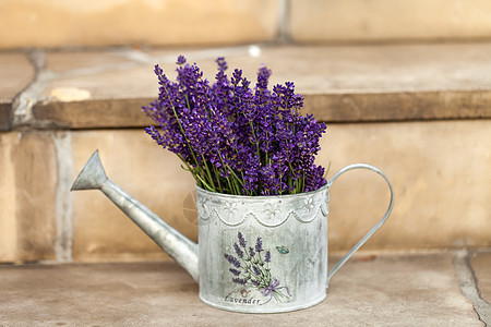 水罐和用白色隔绝的淡紫色化妆品喷口花园紫色园艺水壶香水喷壶工具洒水器图片