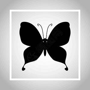 北京西环广场蝴蝶环影绘画卡通片插图野生动物昆虫漩涡装饰脆弱性翅膀模版插画