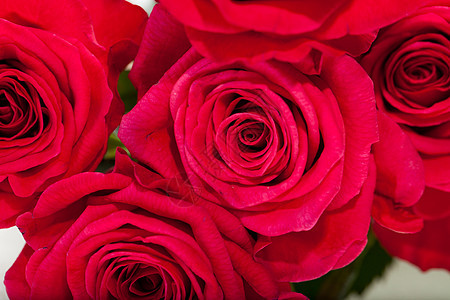 红玫瑰花瓣女性花束婚礼生日情人园艺宏观玫瑰花朵图片
