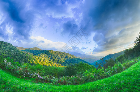 蓝海山上空的日出 景色高视荒野日落远景数控高地山峰叶子白边薄雾天空图片