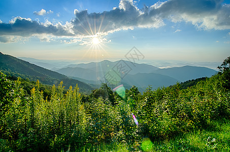 蓝海山上空的日出 景色高视日落数控树叶灌木丛崎岖薄雾阴霾白边荒野地平线图片