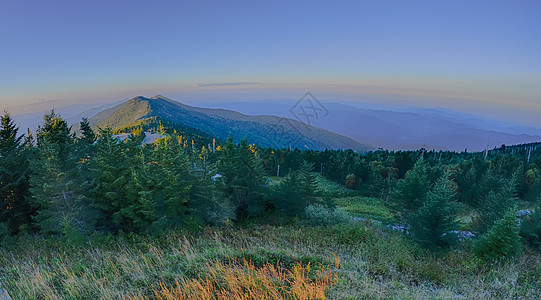 日落前的密歇尔山顶旅行顶峰探索叶子旺季季节树叶荒野森林摄影图片