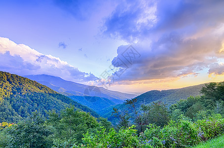 蓝海山上空的日出 景色高视太阳远景戏剧性荒野日落山峰阴霾阳光叶子天空图片