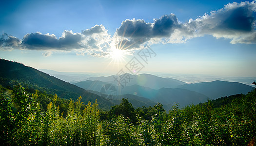 蓝海山上空的日出 景色高视悬崖山峰崎岖数控叶子灌木丛白边阴霾太阳树叶图片