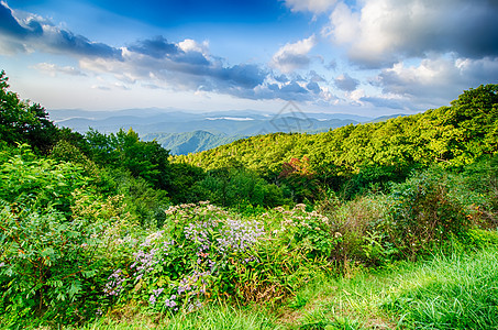 蓝海山上空的日出 景色高视戏剧性地平线日落白边远景崎岖山峰灌木丛阳光树叶图片