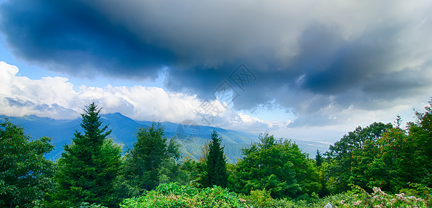 蓝海山上空的日出 景色高视天空风景薄雾崎岖阳光树叶远景灌木丛荒野数控图片