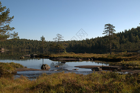 Landskap 陆地荷花瀑布溪流森林峡湾地景精灵图片