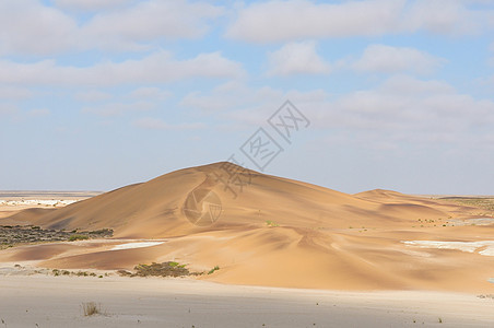 纳米布的沙丘风景橙子孤独荒野沙漠干旱图片