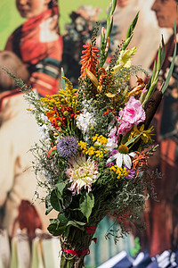 鲜花和草药的美丽花束甘菊绣球花雏菊季节作品大叶向日葵吸附菊花收成图片