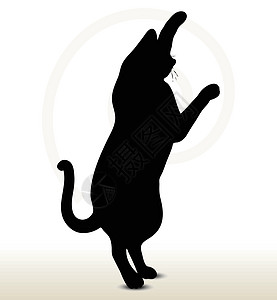 缩略图动物模版计算机爪子活动小猫阴影卡通片图形插图图片