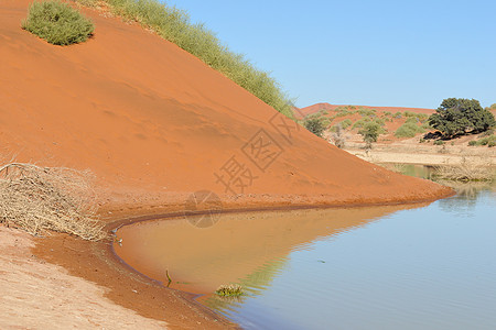 纳米布沙漠的苏苏夫莱Sossusvlei被洪水淹没干旱沙丘纳米布红色橙子荒野绿洲沙漠图片