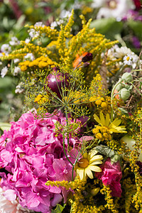 鲜花和草药的美丽花束吸附作品收成植物橙子花园装饰草本植物大叶甘菊图片