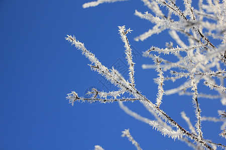 东风wwandland风景滑雪太阳气候景观天空季节图片