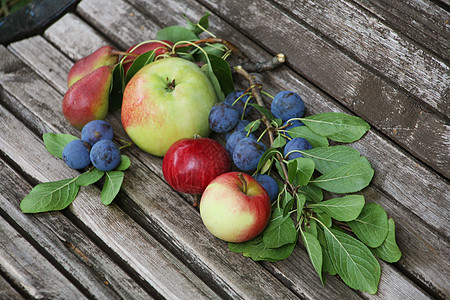 长凳上苹果樱桃梨图片